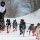 Author Blair Braverman dogsledding (Photo: Aladino Mandoli)